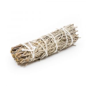 Shasta Salvia Smudge Stick (12 cm)