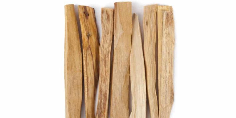 Palo Santo Egenskaper: Ett Heligt Trä med Många Fördelar